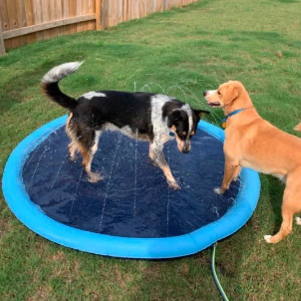 HappySplash™ | Water fun for your kids or pets!