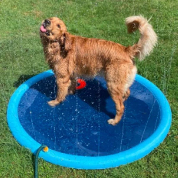HappySplash™ | Water fun for your kids or pets!
