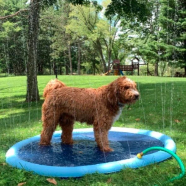 HappySplash™ | Water fun for your kids or pets!