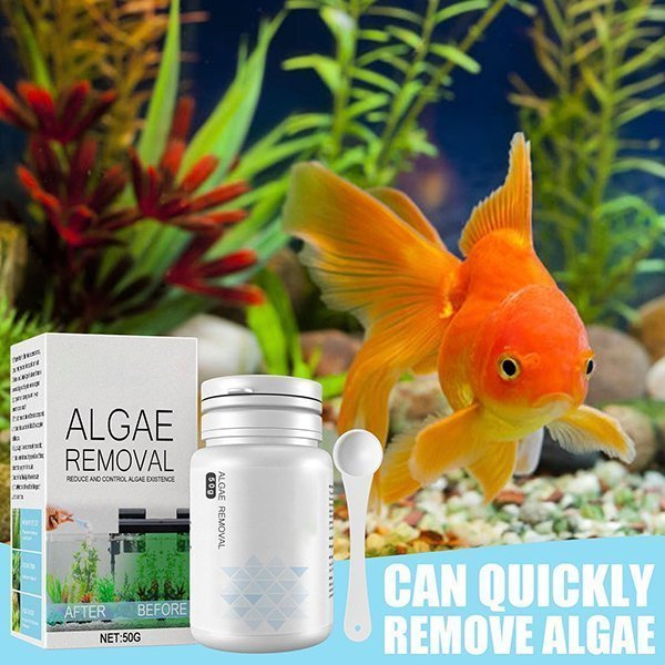 AlgaeRemover™ | Keeps your aquariums or swimming pool clean!