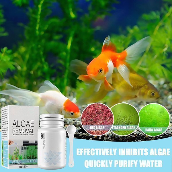 AlgaeRemover™ | Keeps your aquariums or swimming pool clean!