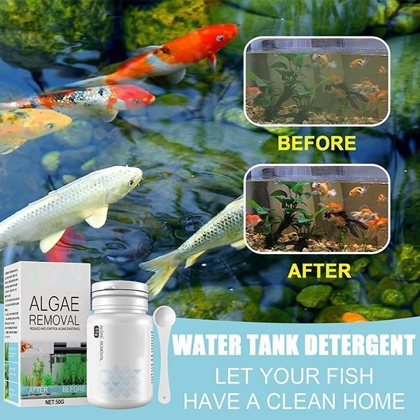 AlgaeRemover™ | Keeps your aquariums or swimming pool clean!