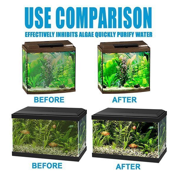 AlgaeRemover™ | Keeps your aquariums or swimming pool clean!