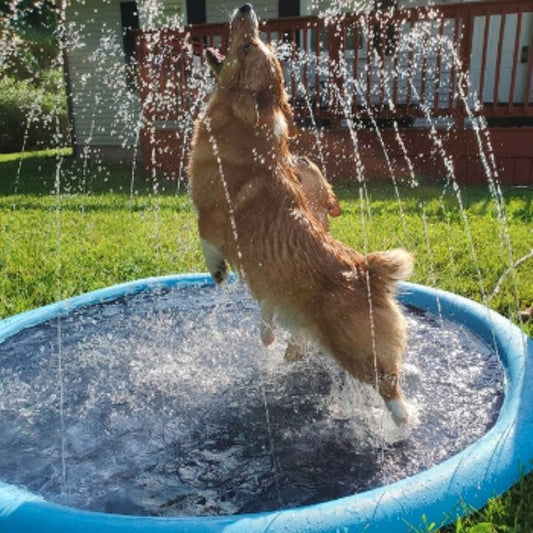 HappySplash™ | Water fun for your kids or pets!